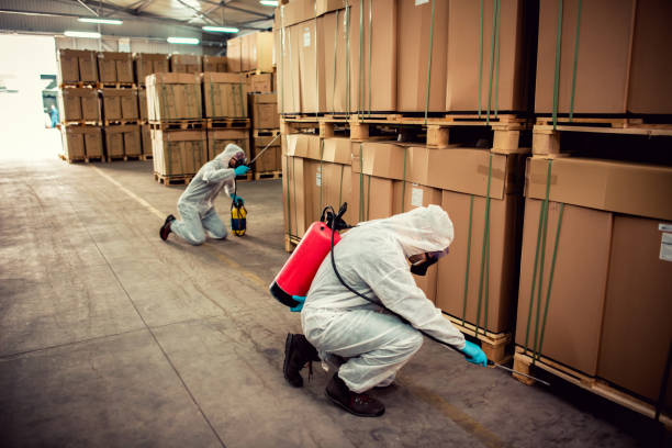 Best Flea Control Services  in Arlington Heights, WA