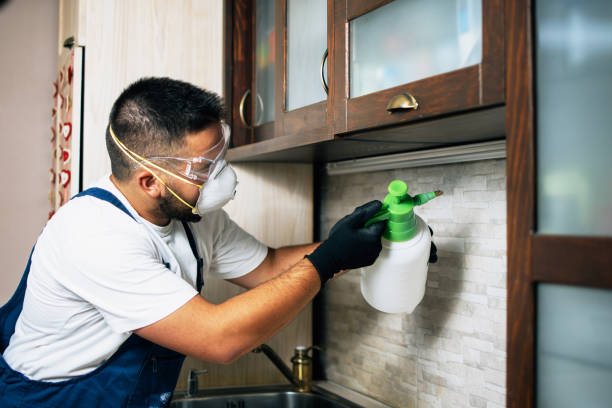 Best Wildlife Control Services  in Arlington Heights, WA