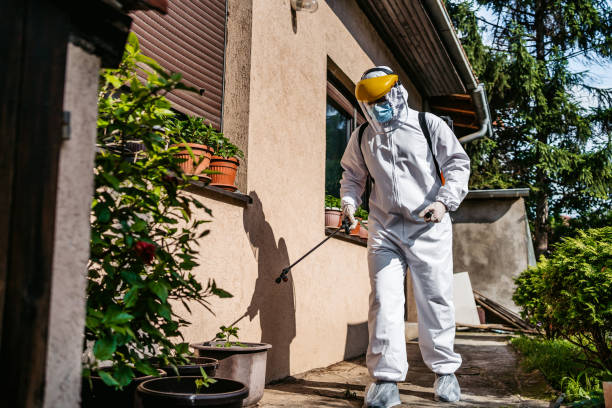 Professional Pest Control in Arlington Heights, WA