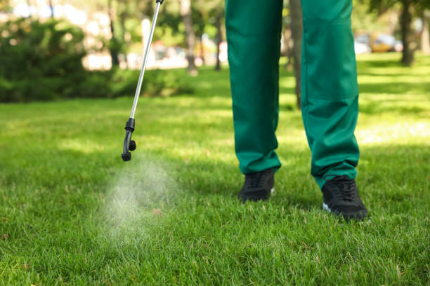 Best Cockroach Control Services  in Arlington Heights, WA