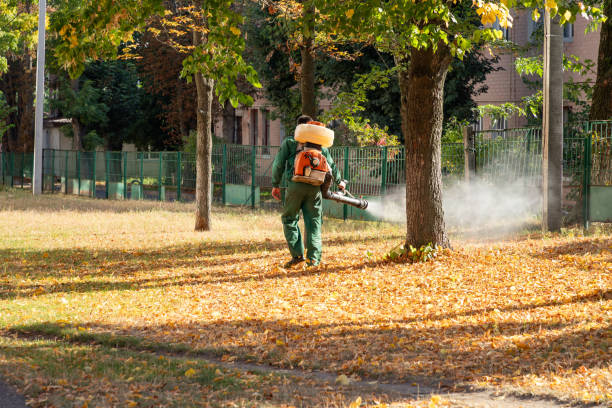 Best Commercial Pest Control Services  in Arlington Heights, WA