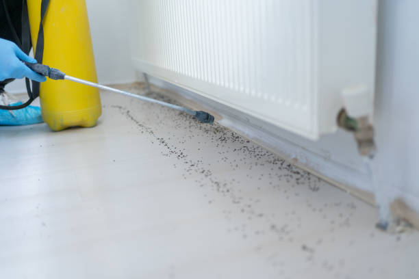 Best Pest Control Near Me  in Arlington Heights, WA