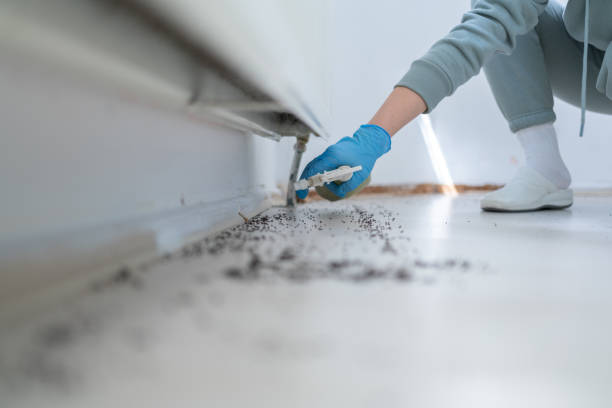 Best Pest Control for Businesses  in Arlington Heights, WA