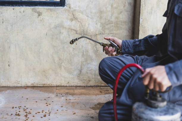 Best Exterminator Services  in Arlington Heights, WA