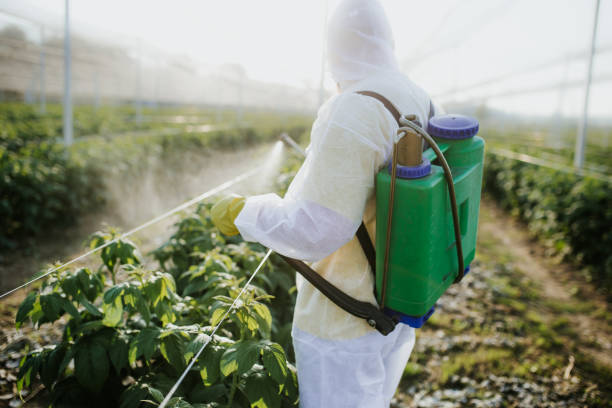 Best Affordable Pest Control Services  in Arlington Heights, WA